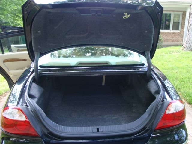 trunk1